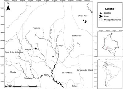 Soil Physical Quality and Relationship to Changes in Termite Community in Northwestern Colombian Amazon